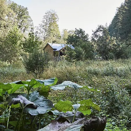 Tiny House Cetturu - 2-pers Boshuisje Op Het Domein Bob & Henja (adults Only) Chalet