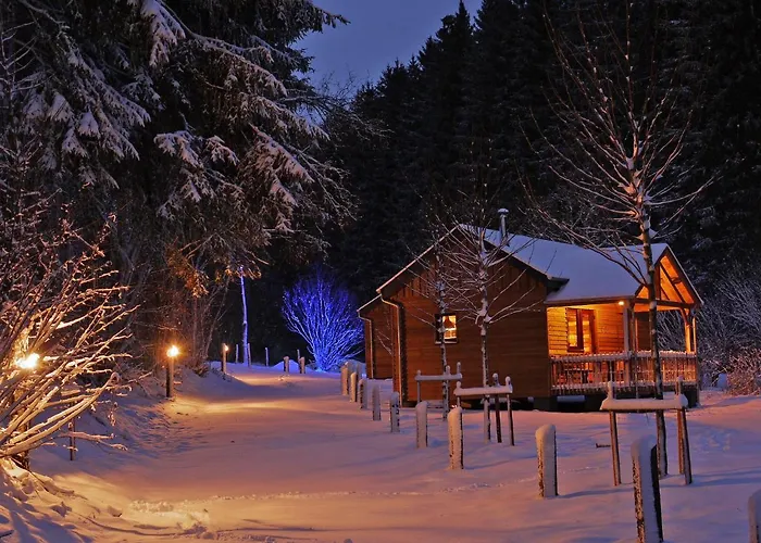 Tiny House Cetturu - 2-pers Boshuisje Op Het Domein Bob & Henja (adults Only) Chalet *