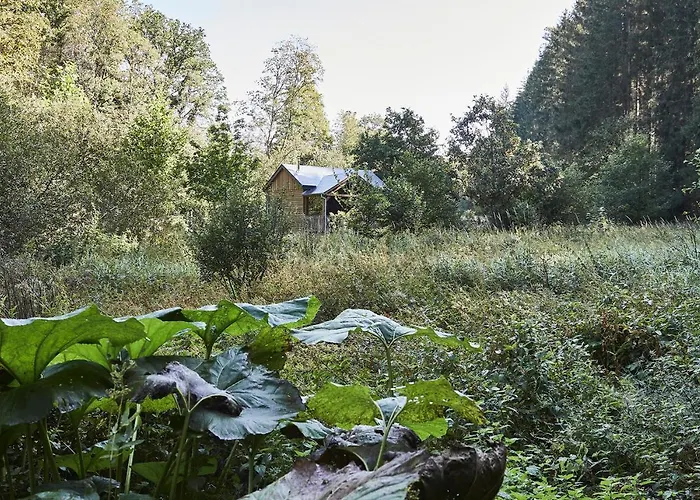 Tiny House Cetturu - 2-pers Boshuisje Op Het Domein Bob & Henja (adults Only) Chalet